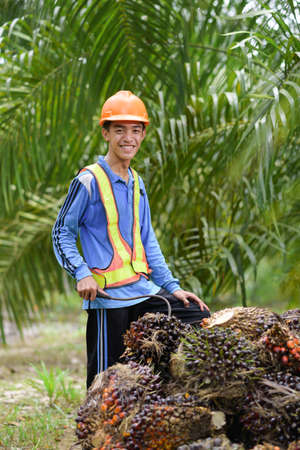 Happy palm oil farmer smiling and standing beside pile of palm oil fruitの写真素材