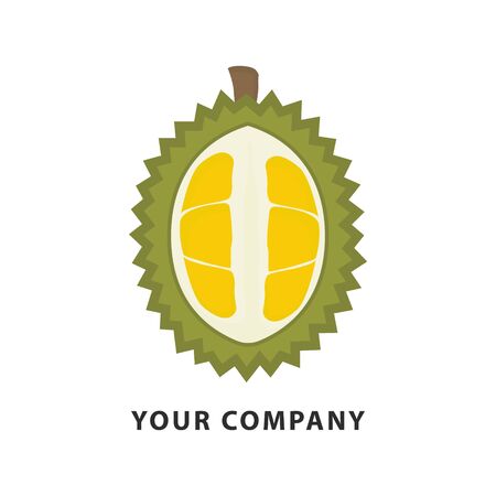 Durian  Vector Design. Fruit  template. Summer tropical fruits for healthy lifestyleのイラスト素材