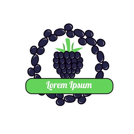 Vintage color blackberry illustration on white backgroundのイラスト素材