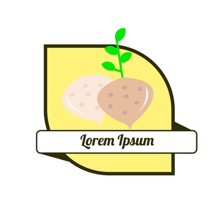 Fruit Yam bean, jicama vector illustrationのイラスト素材