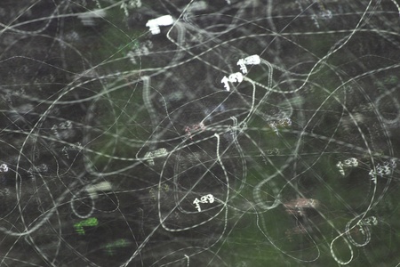 Abstract background, light linesの写真素材