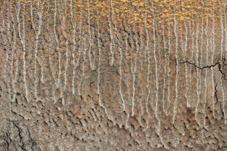 Calcined growths, background