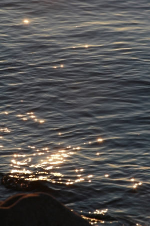 sun glare on the waterの写真素材