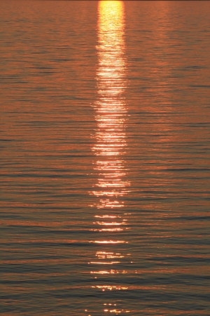 sun glare on the water