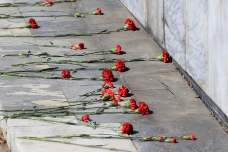 carnation at the monument to the heroes of the warの写真素材