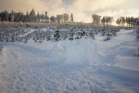 Children have built a small igloo at the edge of the forest.