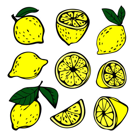 Hand drawn doodle sketch illustration of lemonのイラスト素材