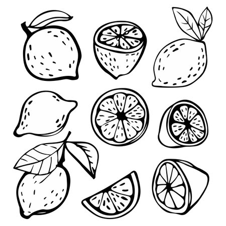 Graphic hand drawn doodle sketch of lemon in different positions. Graphic line icons of lemonのイラスト素材