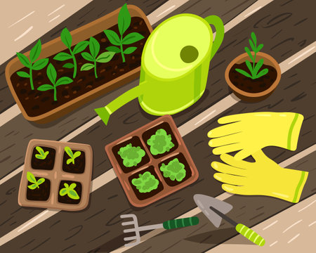 Cute vector composition with garden tools and seedlings. garden work illustration. Plant growing in a greenhouseのイラスト素材