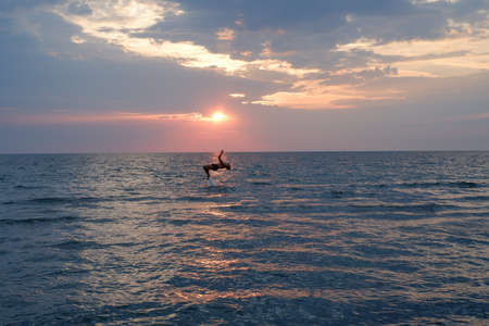 A young man performs a somersault in the sea at sunsetの写真素材