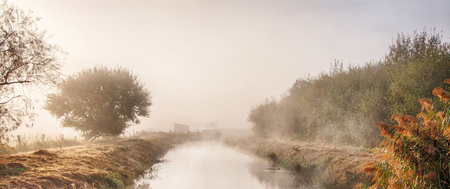 Morning fog in the Rieselfelder nature reservation near Munster in Germanyの写真素材