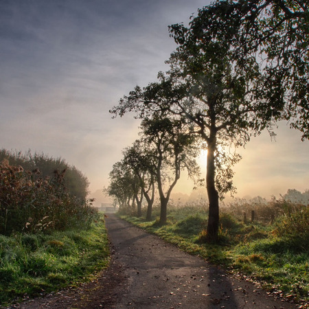 Sunrise at the Rieselfelder nature reserve near Munsterの写真素材