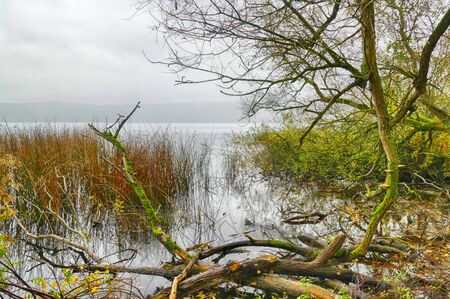 Banks of Lake Laach in the Eifel region near Gleesの写真素材