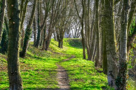 Hiking trail along the river Ruhr in Muelheimの写真素材