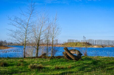 Lake and meadows in the Reeser Meer lake districtの写真素材
