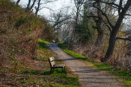 Hiking trail with benches between Essen and Bochumの写真素材
