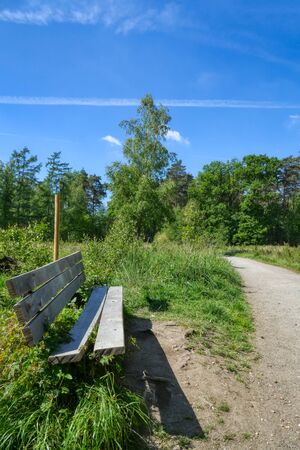 Hiking trail and bench in the Ohligser Heide heathlandの写真素材