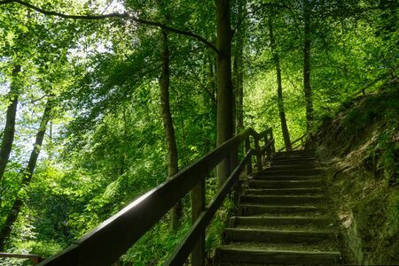 Stairs on a hiking trail in the Neandertal valleyの写真素材