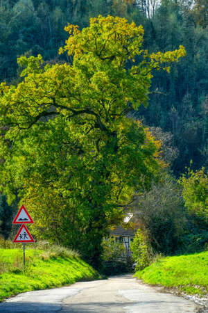 Hiking trail and tree near Haan Gruitenの写真素材