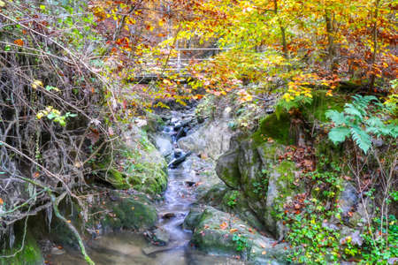 Creek and bridge on the Schluchtenpfad trail near Winterberg in Germany