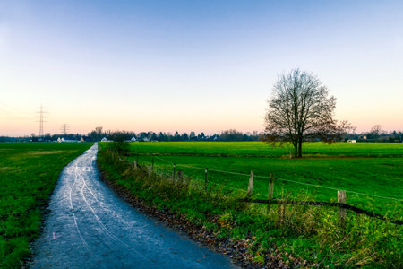 Fields and a country road in Angermundの写真素材