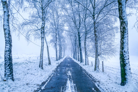 Road and snow in Solingen in winterの写真素材