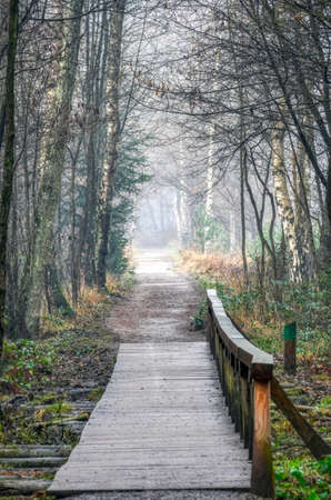 Walkway and hiking trail in the heathland of Solingen Ohligsの写真素材