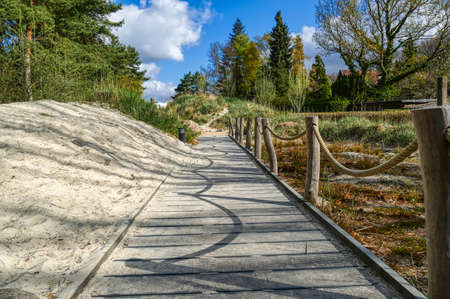 Dune landscape in a park in Dortmundの写真素材