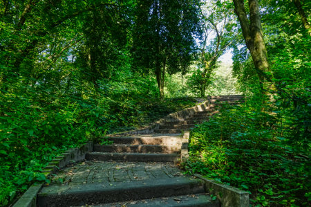 Way and stairs in a park in Rheinhausen in summerの写真素材