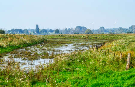Water, meadows and dyke in the Bislicher Insel nature reservationの写真素材