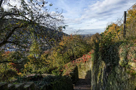 Romantic historical foot path into the hills near Heidelbergの写真素材