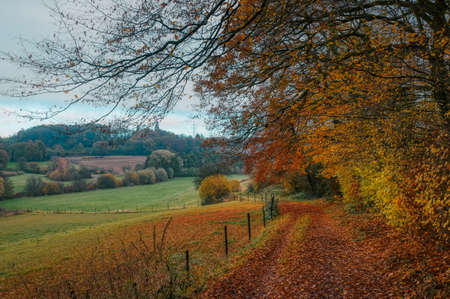 Hiking trail in the Rinderbachtal valley between Velbert and Heiligenhausの写真素材