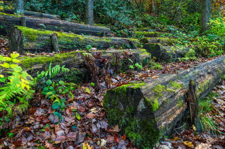 Forest grandstand in the Rinderbachtal valley near Velbert