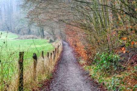 Beautiful hiking trail in the Neandertal valley