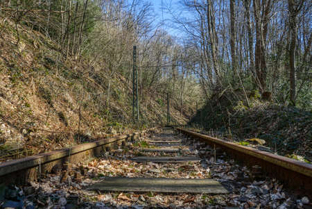 Tram track in the forest of the Kaltenbachtal valleyの写真素材