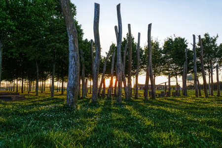Trees and park landscape in the Rhine park in Duisburg Hochfeldの写真素材