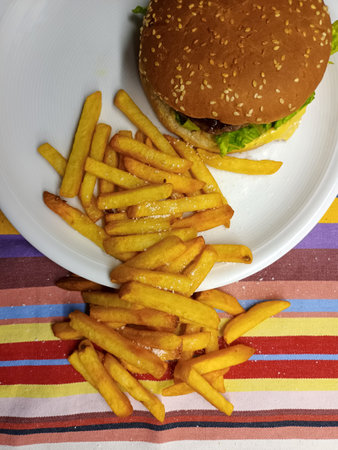 <p>Salted fries with a burger on a plate in a top-down view</p>