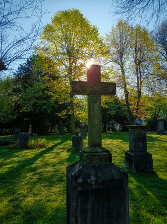 Sunrise and cross in a park and historical cemetery in Dusseldorf