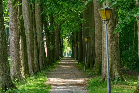 Way with lanterns in a castle park in Clemenswerth near Sogelの写真素材