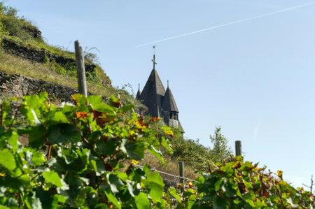 Vineyard and medieval church tower in Kobern-Gondorfの写真素材