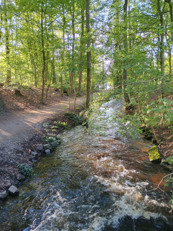 Wild creek at lake Wolfssee in Duisburgの写真素材