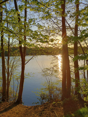 Banks of lake Wolfssee at the lake district in Duisburgの写真素材