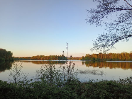 Banks of lake Wolfssee at the lake district in Duisburg in springの写真素材
