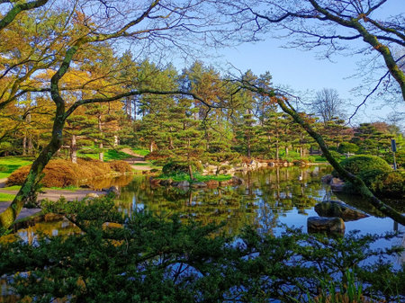 Japanese garden in park in Dusseldorf