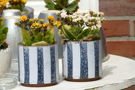 Two flower pots with colorful flowersの写真素材