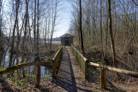 Birdwatch hut in the forest in the six lakes district in Duisburgの写真素材