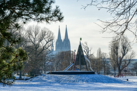 Winter in a park by the river Rhine in Cologneの写真素材