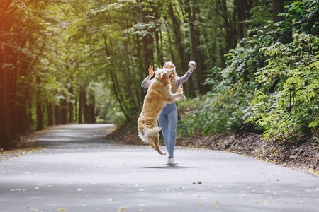 couple walking outdoors with her dogの写真素材