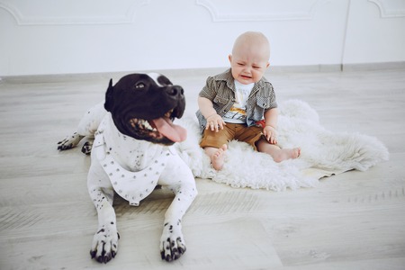 boy with dogの写真素材