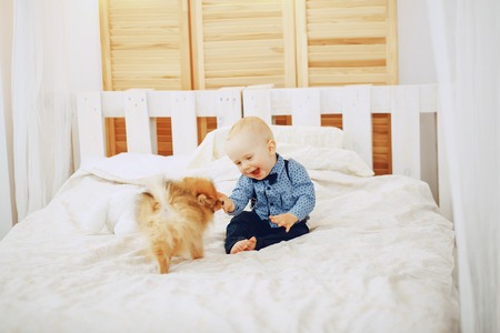 boy with dogの写真素材